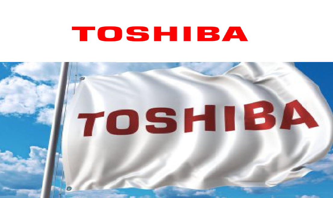 İzmir Menemen Toshiba Kombi Klima Servisi